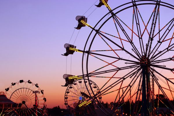 Celebrate the State Fair