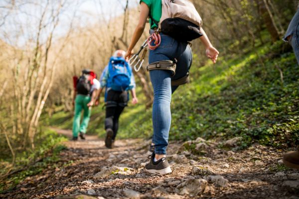 Trail Hiking