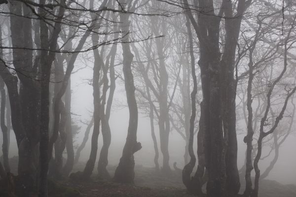 Haunted Trail Run