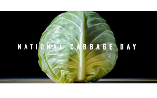 National Cabbage Day